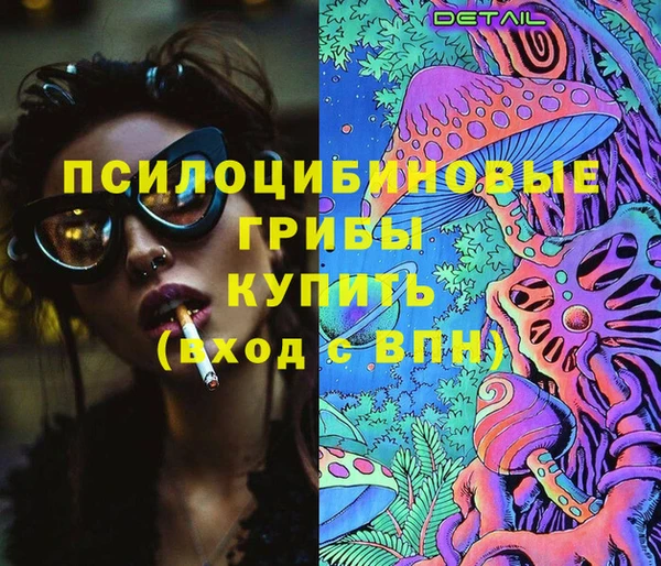 дмт Пролетарск
