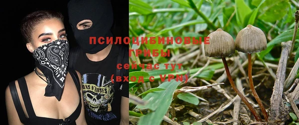 spice Приозерск