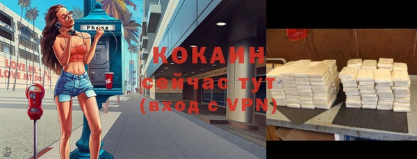 соль ск Дегтярск
