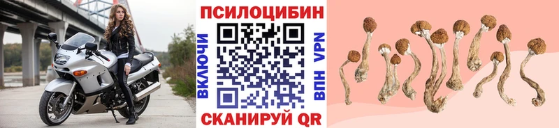 Галлюциногенные грибы GOLDEN TEACHER  мориарти как зайти  MEGA сайт  Камышин  сколько стоит 
