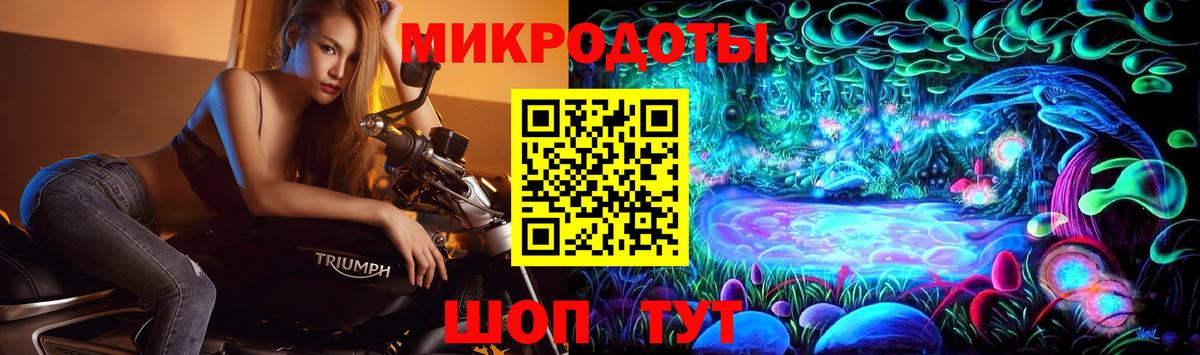 Псилоцибиновые грибы GOLDEN TEACHER Камышин